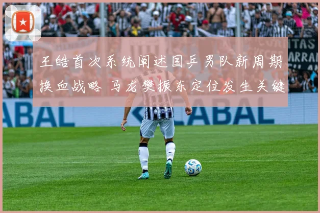 王皓首次系统阐述国乒男队新周期换血战略 马龙樊振东定位发生关键变化