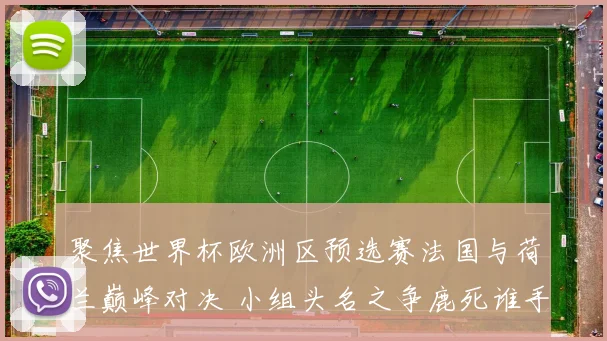 聚焦世界杯欧洲区预选赛法国与荷兰巅峰对决 小组头名之争鹿死谁手