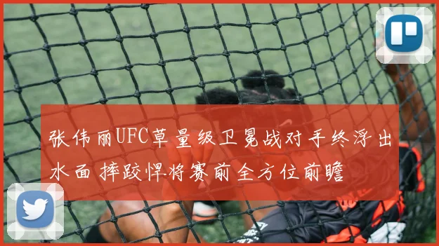 张伟丽UFC草量级卫冕战对手终浮出水面 摔跤悍将赛前全方位前瞻